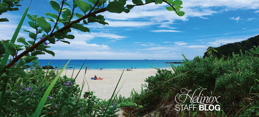 Settle in beach days